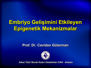 Cavidan Gülerman