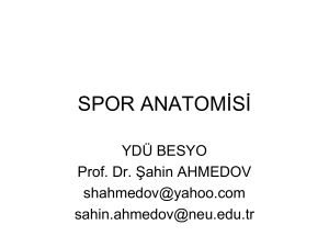 spor anatomisi - Cyprus Integrative Medicine