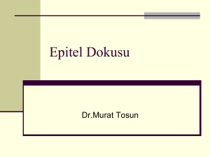 Slayt 1 - Prof.Dr. Murat TOSUN Bireysel ve Eğitim Amaçlı Web Sitesi