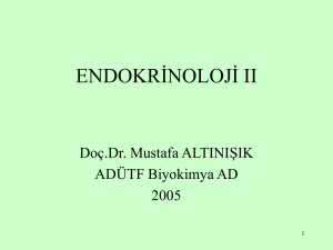 Endokrinoloji II - mustafaaltinisik.org.uk
