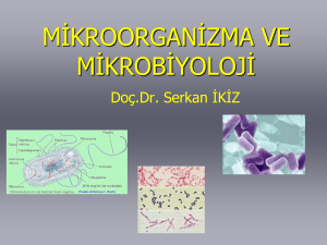 mikroorganizma ve mikrobiyoloji