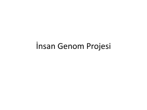10 İnsan Genom Projesi