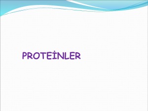 proteinler