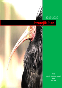 1. stratejik plan süreci