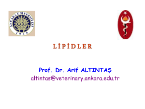Lipidler