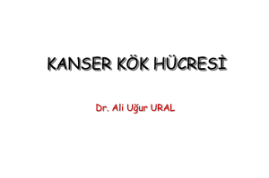 Slayt Başlığı Yok - Prof.Dr. Ali Uğur Ural