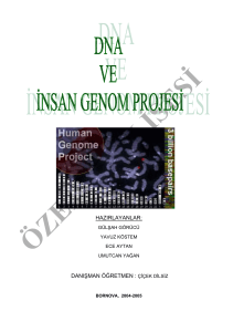 DNA ve İnsan Genom Projesi