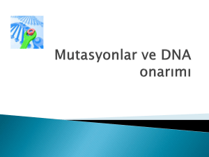 5.Mutasyon ve DNA Onarımı