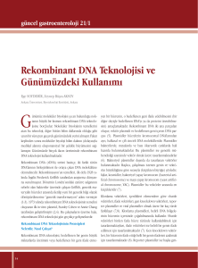 Rekombinant DNA Teknolojisi ve Günümüzdeki Kullanımı