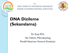 DNA Dizileme (Sekanslama)