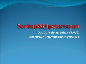 1324230682_ - Prof.Dr. Mehmet Birhan Yılmaz