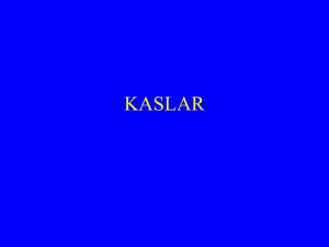 kaslar - biyologlar.com