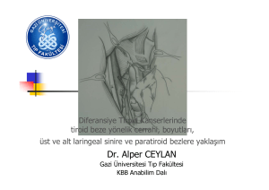 Dr. Alper CEYLAN