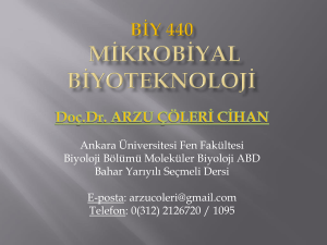 Mikrobiyal ekoloji - Ankara Üniversitesi Açık Ders Malzemeleri