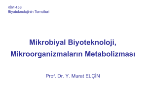 Mikrobiyal Biyoteknoloji, Mikroorganizmaların Metabolizması
