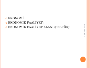 ekonomik faaliyet - files.eba.gov.tr