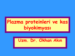 Plazma proteinleri ve kas biyokimyası