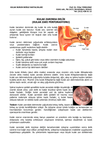 Kulak zarı perforasyonu - Prof. Dr. İrfan Yorulmaz