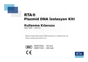 Plazmid DNA İzolasyon Kiti