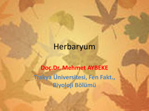 Herbaryum - Trakya Üniversitesi