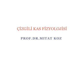 çizgili kas fizyolojisi - Ankara Üniversitesi Açık Ders Malzemeleri