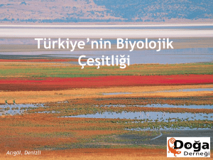 14. Türkiye`nin Biyolojik Çeşitliği Kaynak
