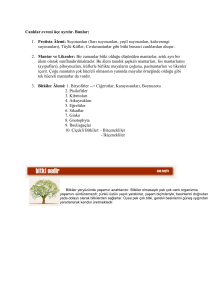 2. Bitki nedir Kaynak - Ankara Üniversitesi Açık Ders Malzemeleri