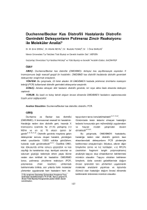 Duchenne/Becker kas distrofili hastalarda distrofin genindeki