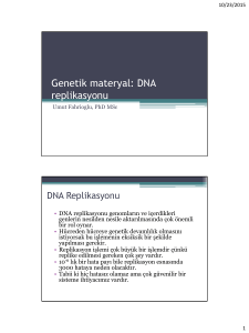 Genetic Information: DNA replication