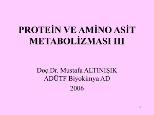 protein ve amino asit metabolizması ııı