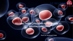 PowerPoint Sunusu - Kök Hücre ve Hücresel Tedaviler Derneği