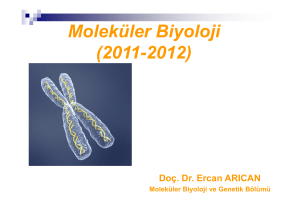 moleküler biyoloji 2 - Gene-Cell