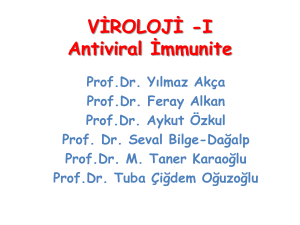Antiviral İmmünite