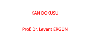 KAN DOKUSU Prof. Dr. Levent ERGÜN