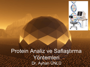 Protein Analiz ve Saflaştırma Yöntemleri