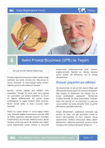Selim Prostat Büyümesi (SPB) ile Yaşam