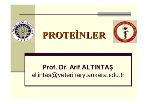 Amino Asitler Peptidler ve Proteinler