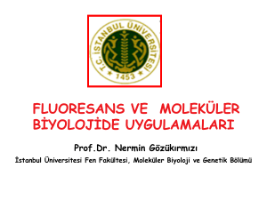 fluoresans ve moleküler biyolojide uygulamaları - AVES