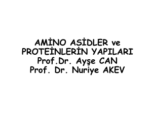 Proteinlerin yapısında bulunmayan aminoasidler
