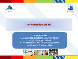 Microbial Pathogenesis
