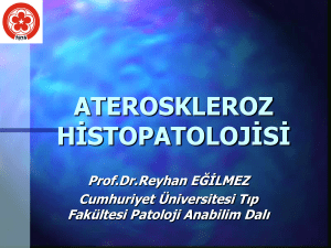 ateroskleroz histopatolojisi - Cumhuriyet Üniversitesi Tıp Fakültesi