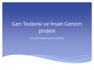 Gen Tedavisi ve İnsan Genom projesi