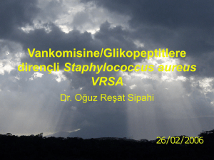 VRSA vankomisine dirençli Staphylococcus