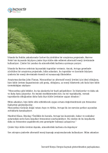 İrlanda`da çimlerden alternatif enerji üretimi | İnovatif Kimya Dergisi