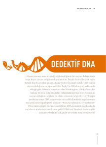 DEDEKTİF DNA