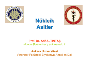 v. nükleik asitler - Ankara Üniversitesi Açık Ders Malzemeleri