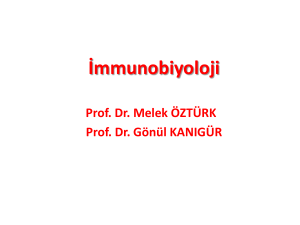 immunobiyoloji 2011dekanl  k