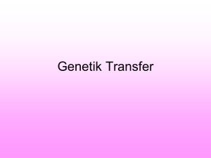8. Genetik Transfer