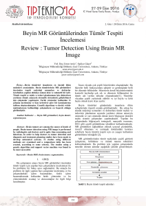 Tumor Detection Using Brain MR Image