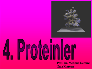 4-Proteinler